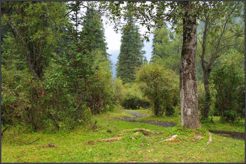 Казахстан - Озеро Кольсай. Фото №4