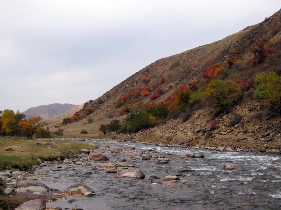 Казахстан - Тургеньское ущелье. Фото №4