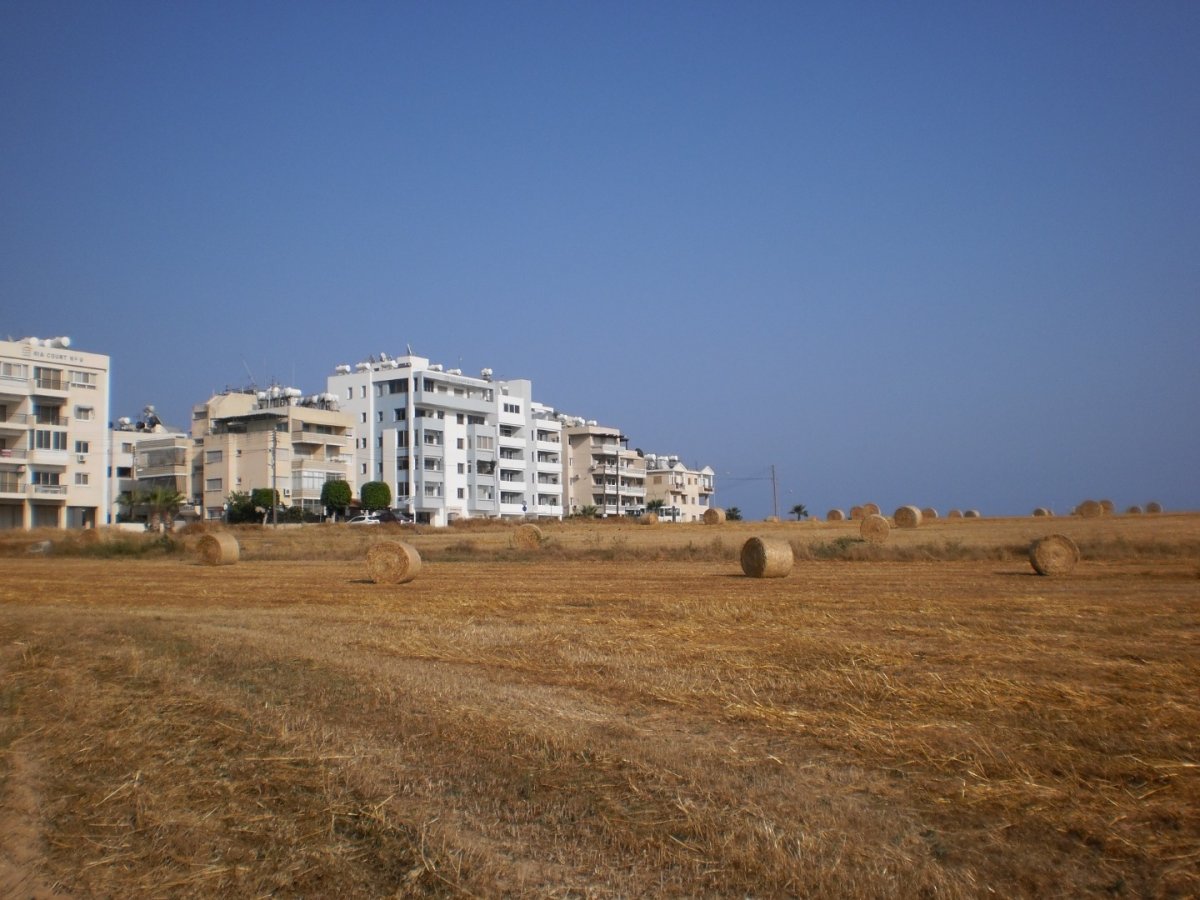 Кипр - Ларнака. Фото №1