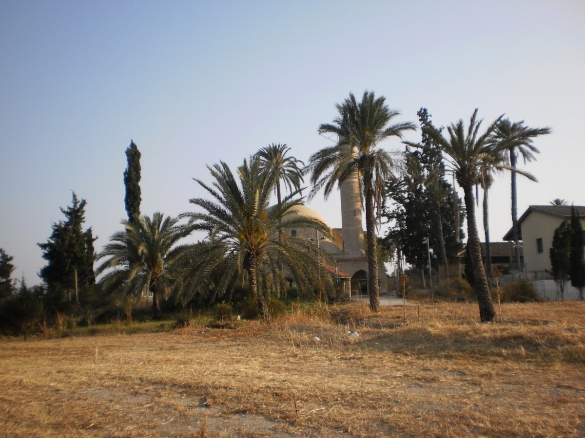 Кипр - Ларнака. Фото №15