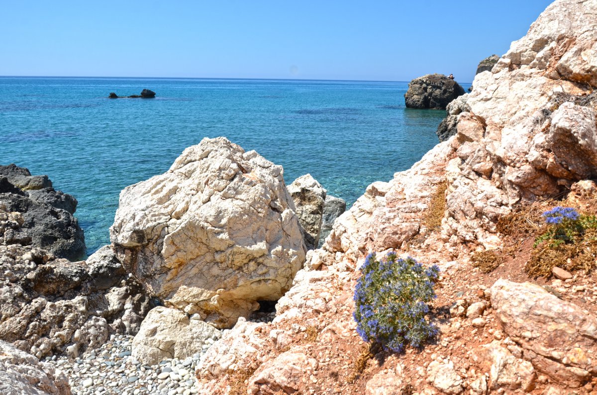 Кипр - Пафос. Фото №10