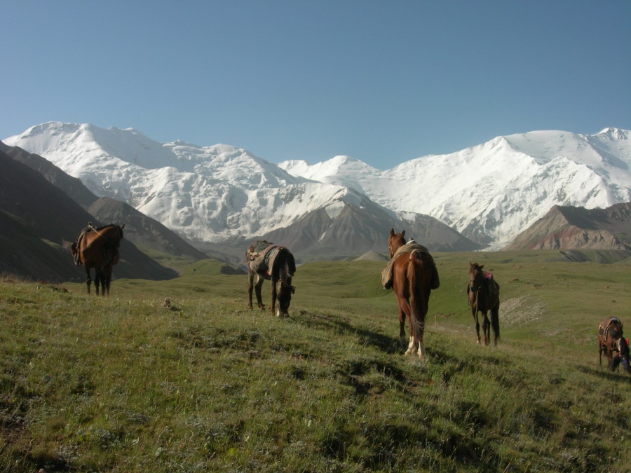 Киргизия - Памирское нагорье, Пик ленина. Фото №6