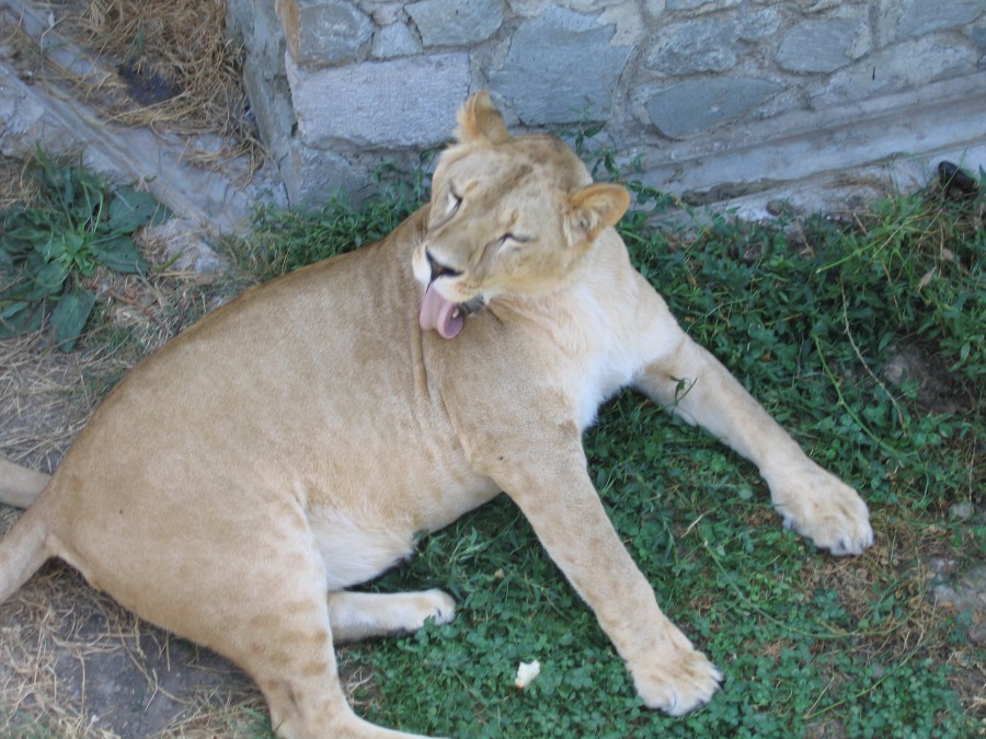 Крым - Крым. Фото №17