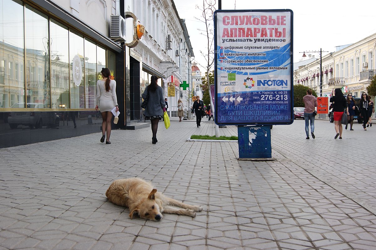 Крым - Симферополь. Фото №24