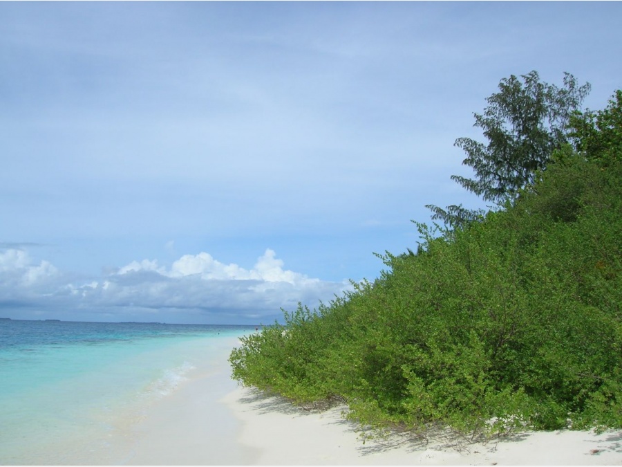 Мальдивы - Club Rannalhi. Фото №2