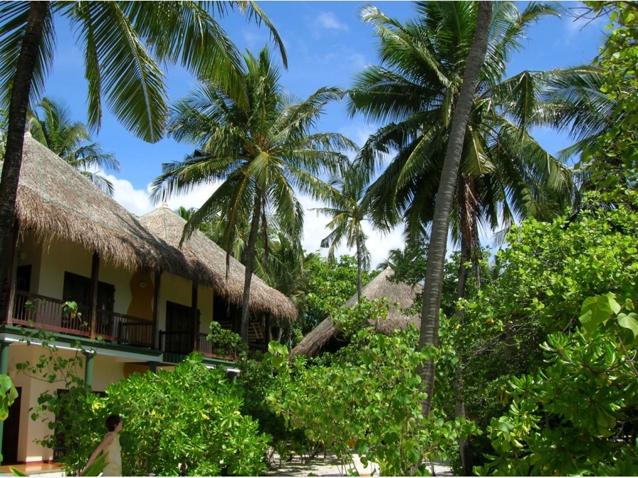 Мальдивы - Club Rannalhi. Фото №3