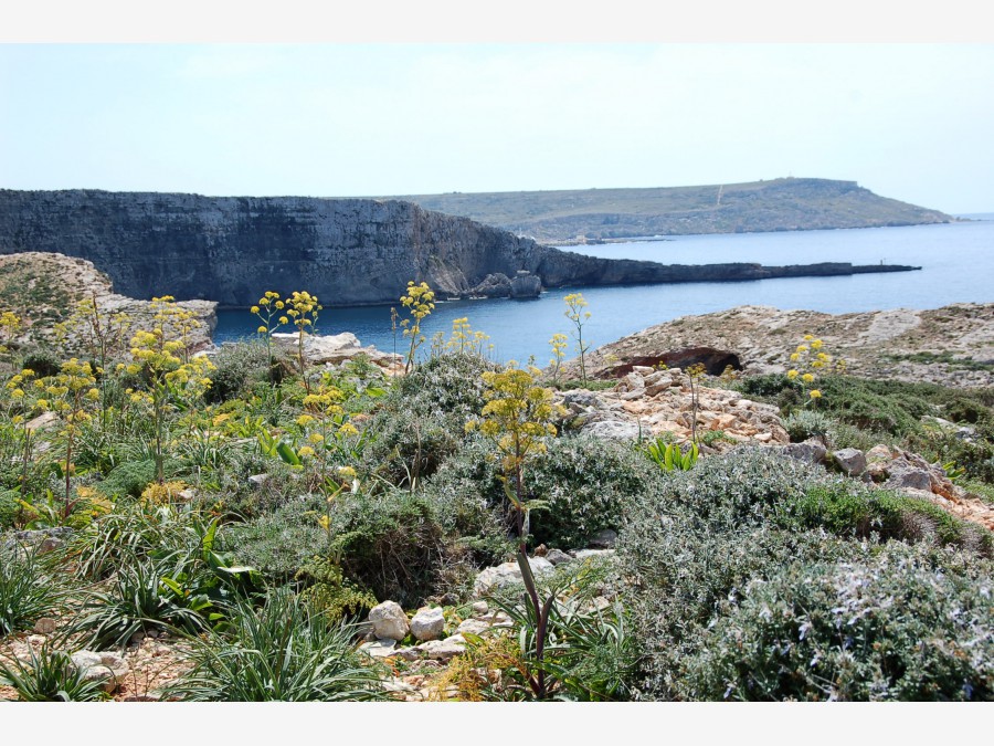 Мальта - остров Комино. Фото №24