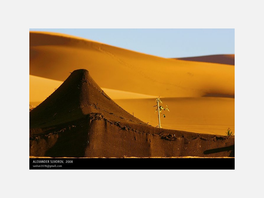 Марокко - Пустыня Сахара. Фото №2