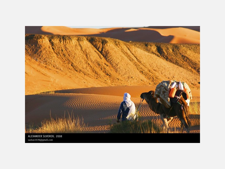 Марокко - Пустыня Сахара. Фото №5
