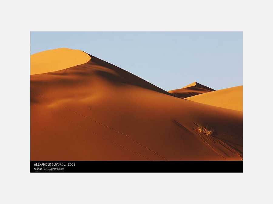 Марокко - Пустыня Сахара. Фото №6