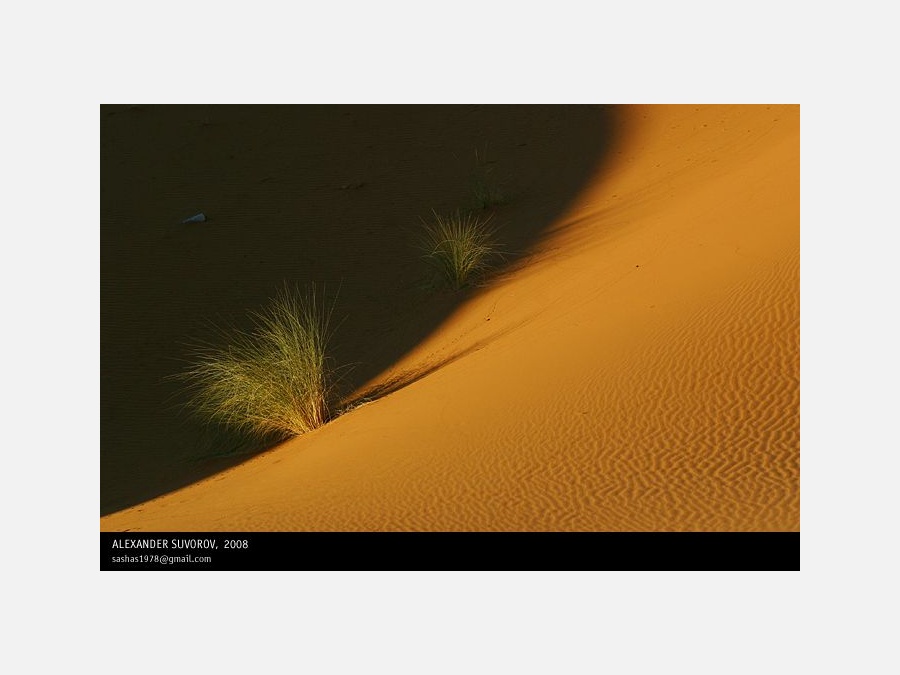 Марокко - Пустыня Сахара. Фото №7