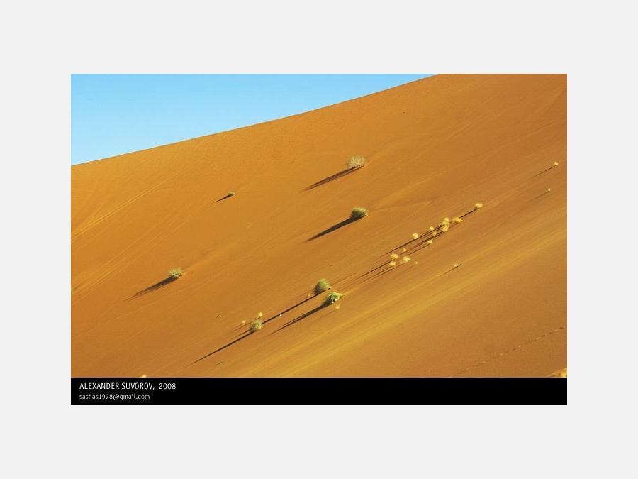 Пустыня Сахара - Фото №1