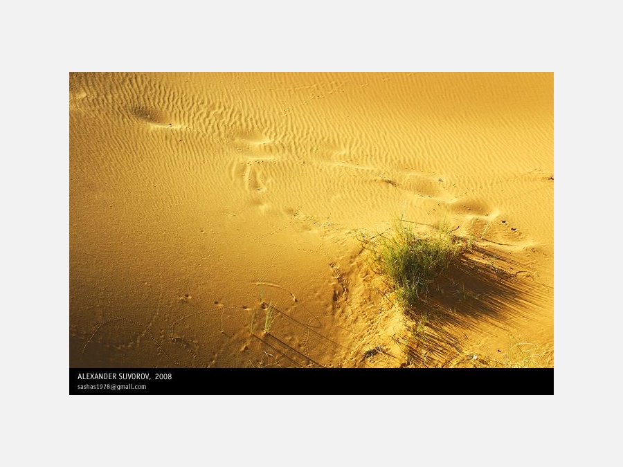 Пустыня Сахара - Фото №3