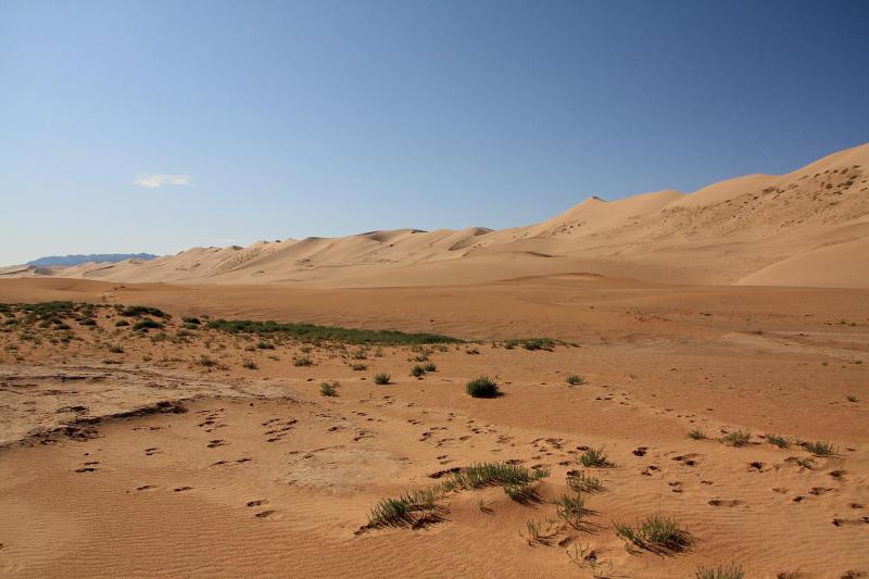Монголия - пустыня Гоби. Фото №4