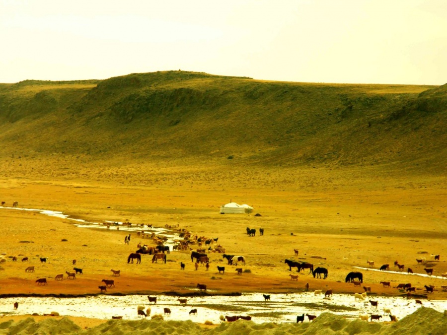 Монголия - Западная, Центральная и Южная. Фото №24