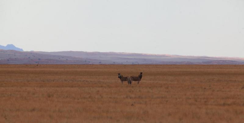Намибия - Намибия. Фото №20