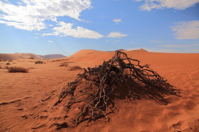 Намибия - Намибия. Фото №10