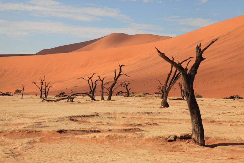 Намибия - Намибия. Фото №12