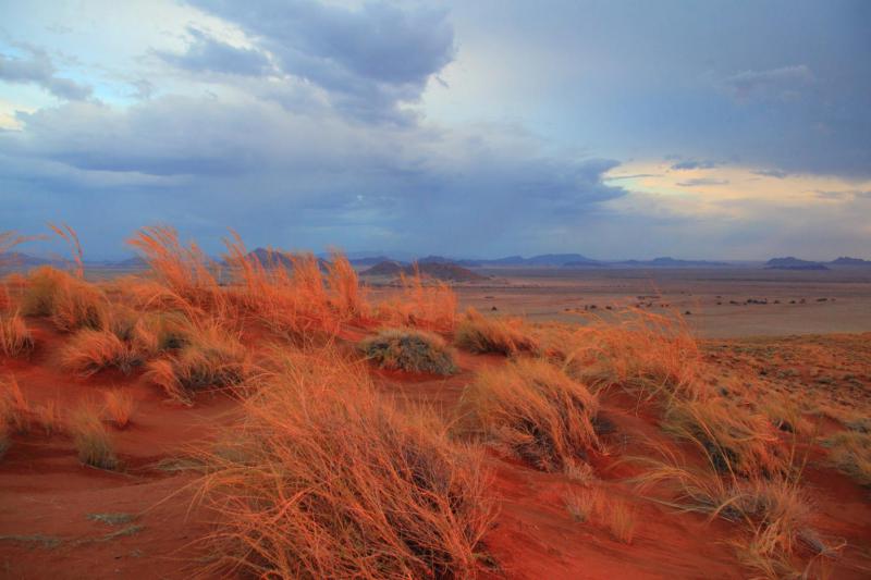 Намибия - Намибия. Фото №19