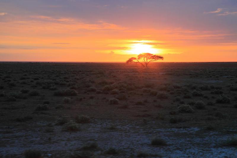 Намибия - Намибия. Фото №12