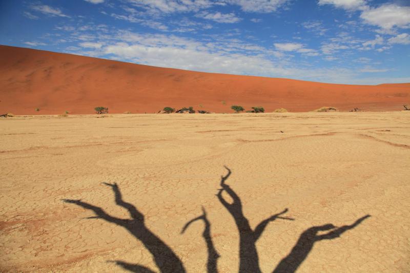 Намибия - Фото №14