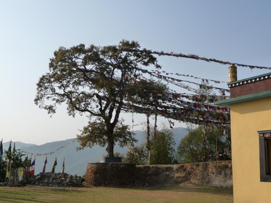 Непал - Монастырь Наги Гомпа. Фото №4