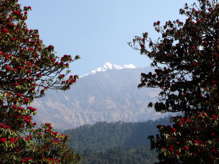 Непал - Пун Хилл. Фото №1