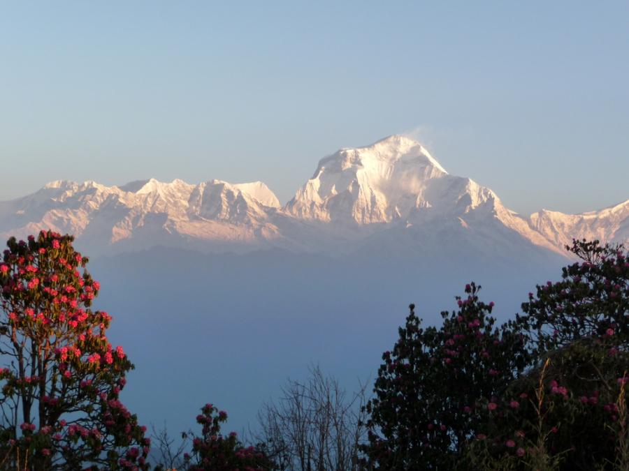 Непал - Пун Хилл. Фото №11