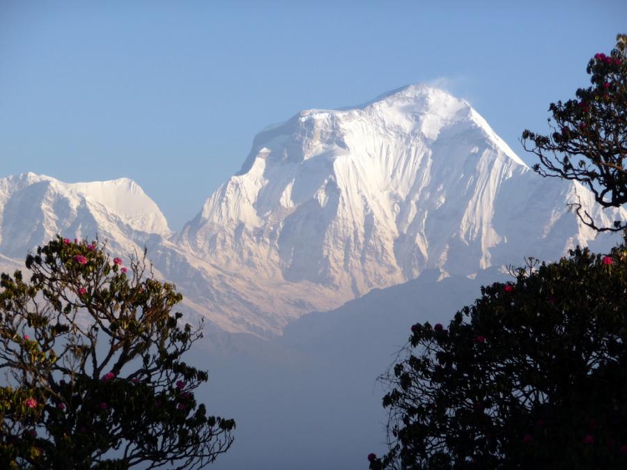 Непал - Пун Хилл. Фото №13