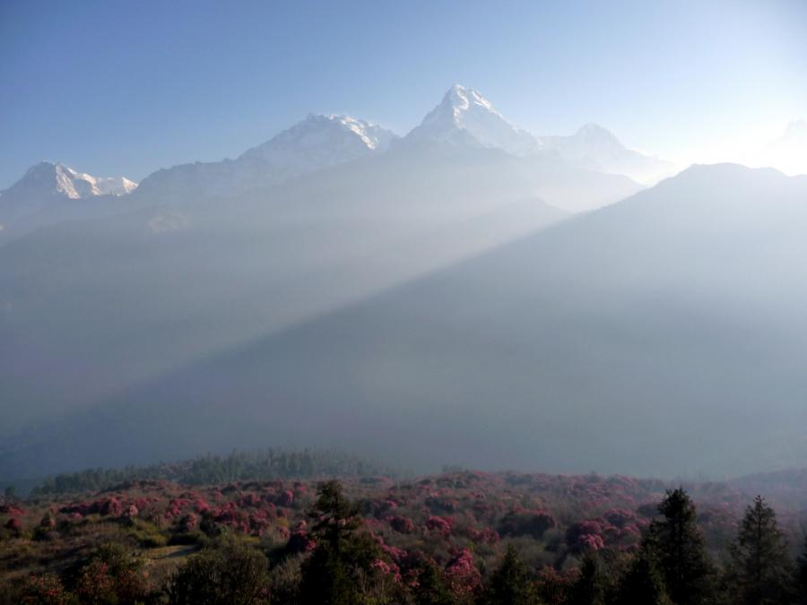 Непал - Пун Хилл. Фото №16