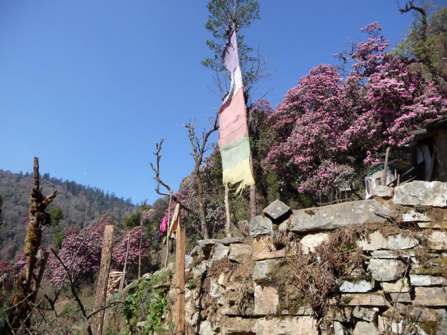 Непал - Пун Хилл. Фото №20
