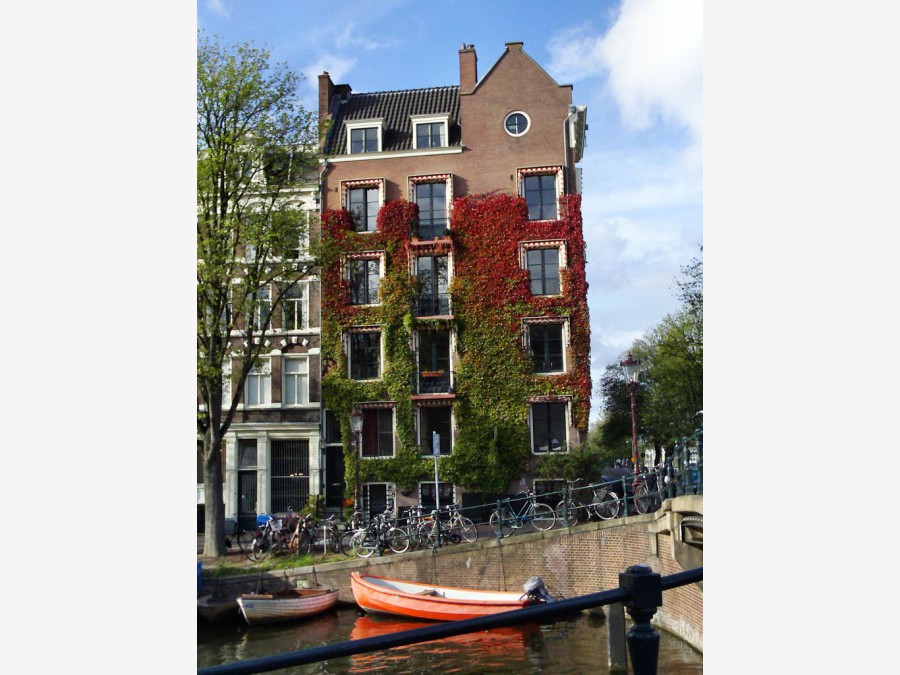 Нидерланды - Амстердам. Фото №10