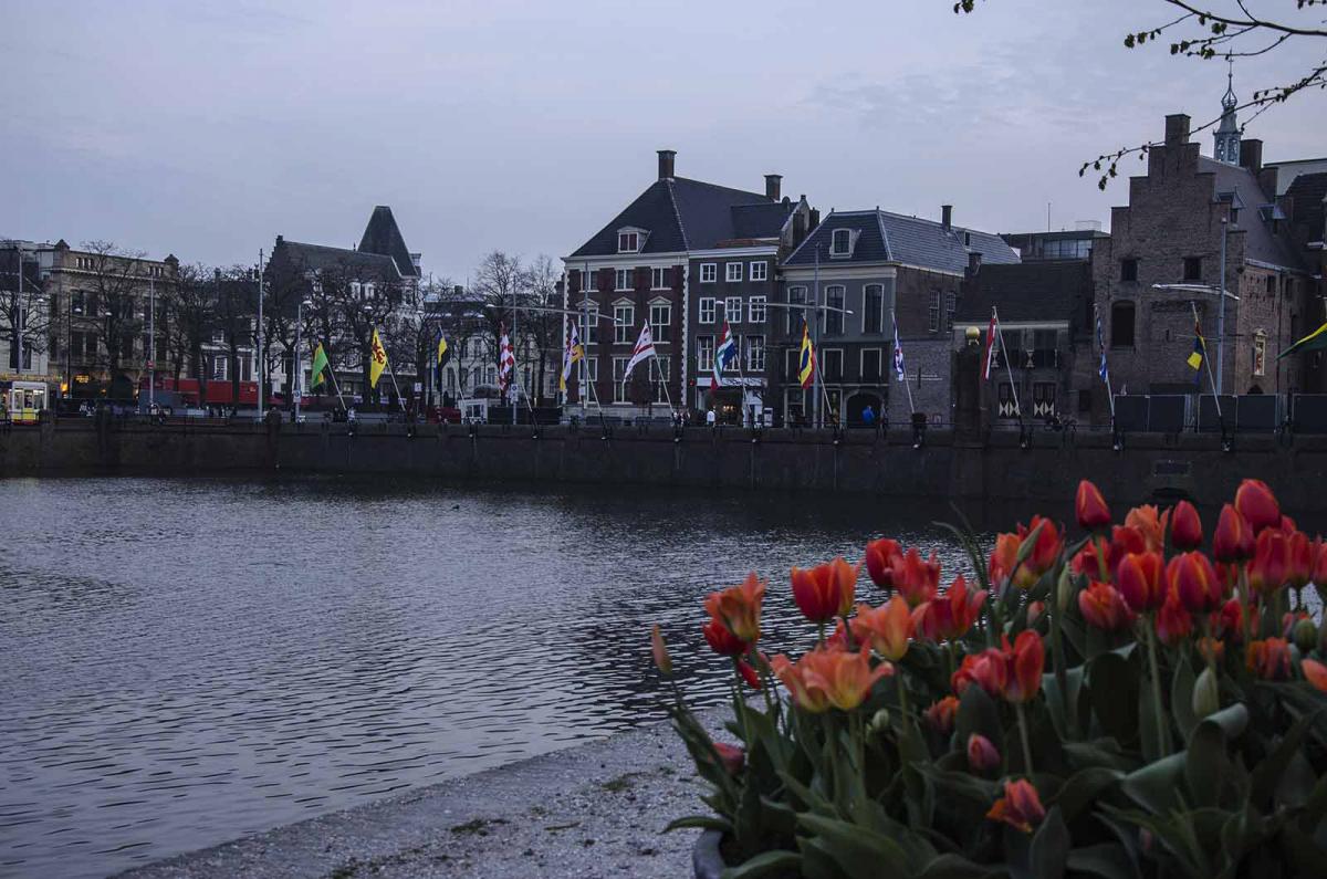 Нидерланды (Голландия) - Гаага. Фото №36