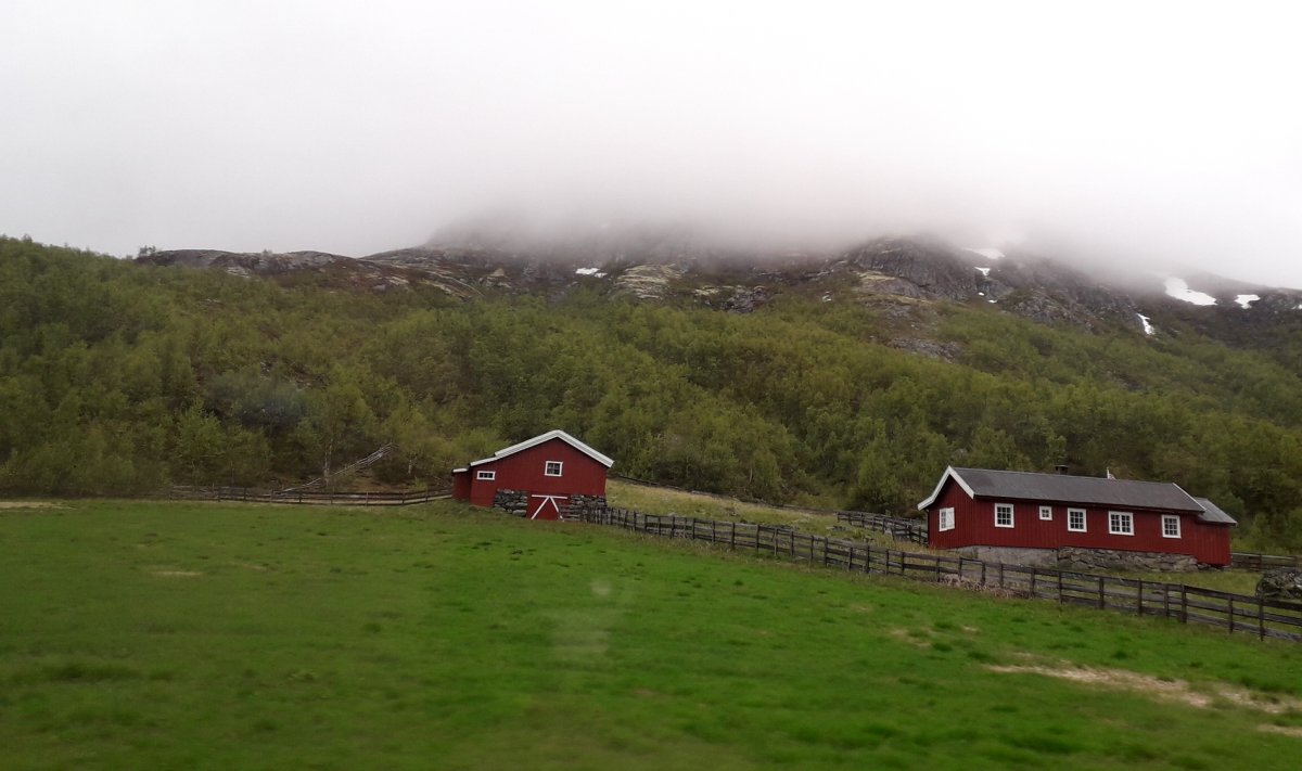 Норвегия - Флом. Фото №3