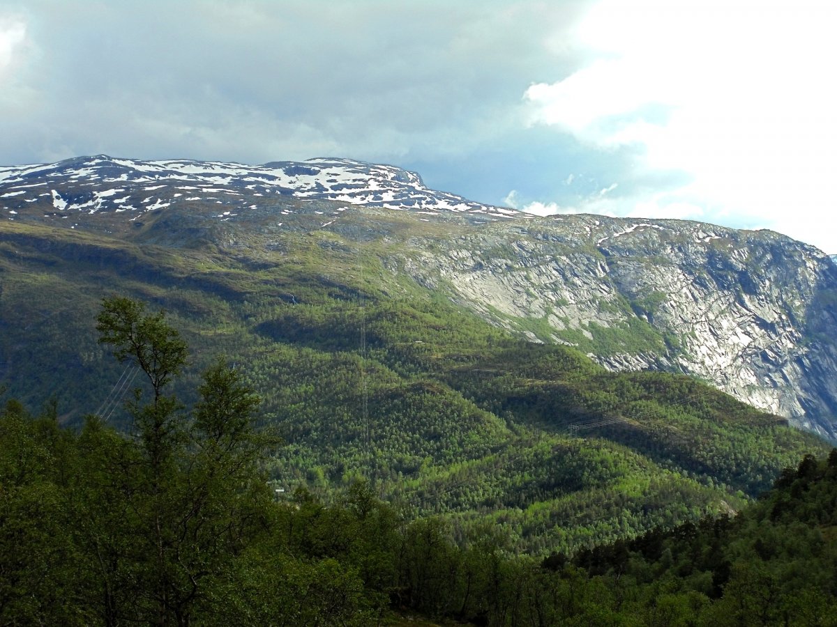 Норвегия - Флом. Фото №15
