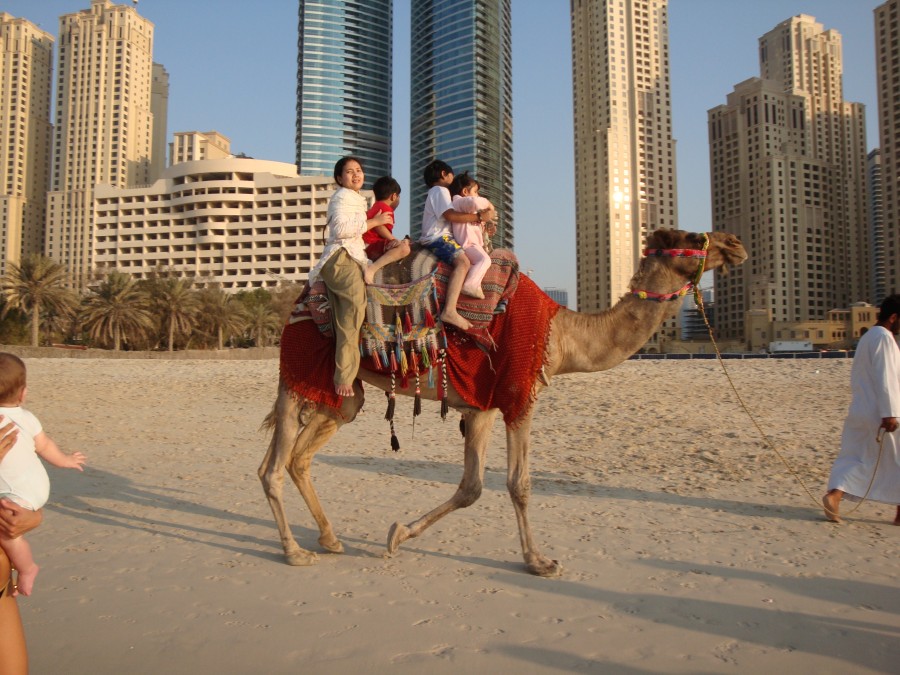 Дубай туристы