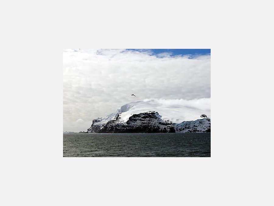 Остров Буве - Остров Буве. Фото №7