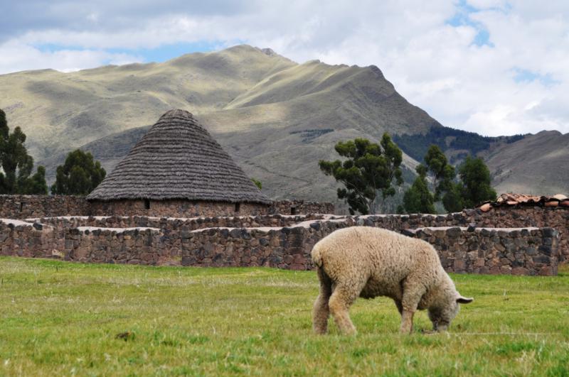 Перу - Перу. Фото №13
