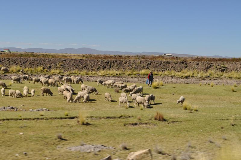 Перу - Пуно. Фото №23