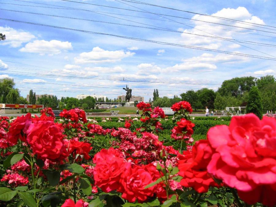 Приднестровье - Тирасполь. Фото №6