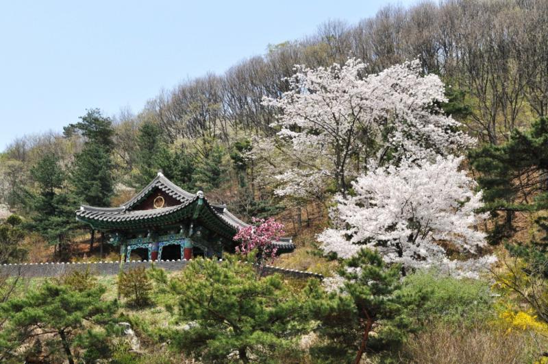 Республика Корея - Сеул. Фото №1