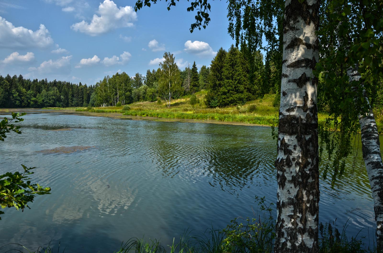 Абрамцево бассейн. Абрамцево озеро.