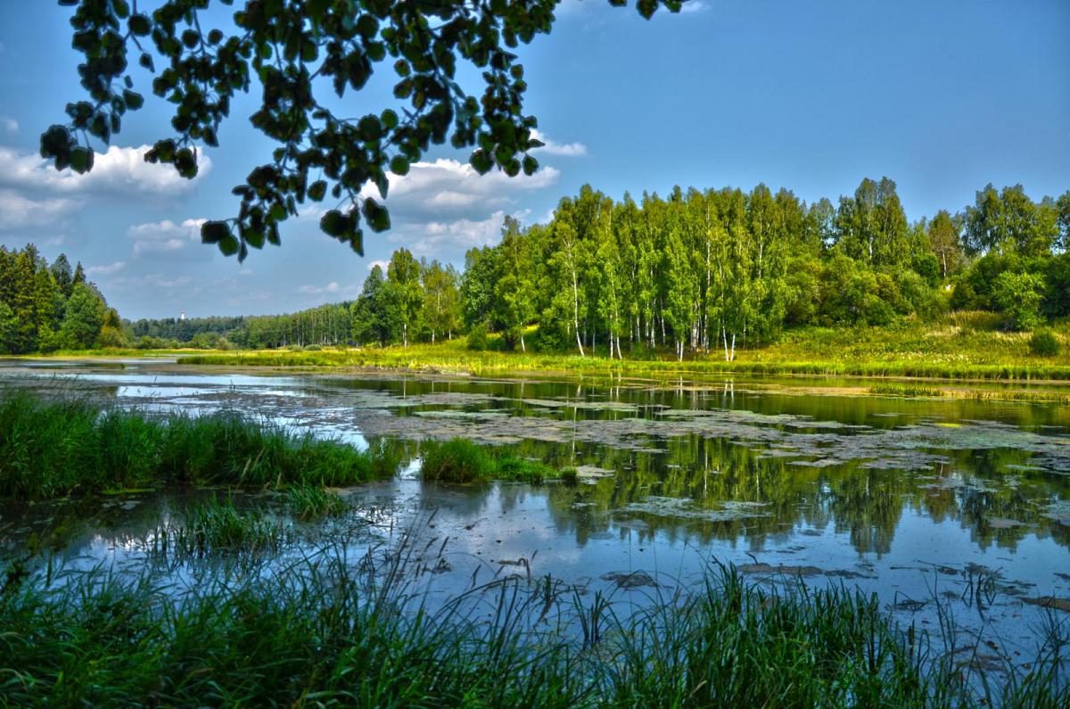 абрамцево река воря