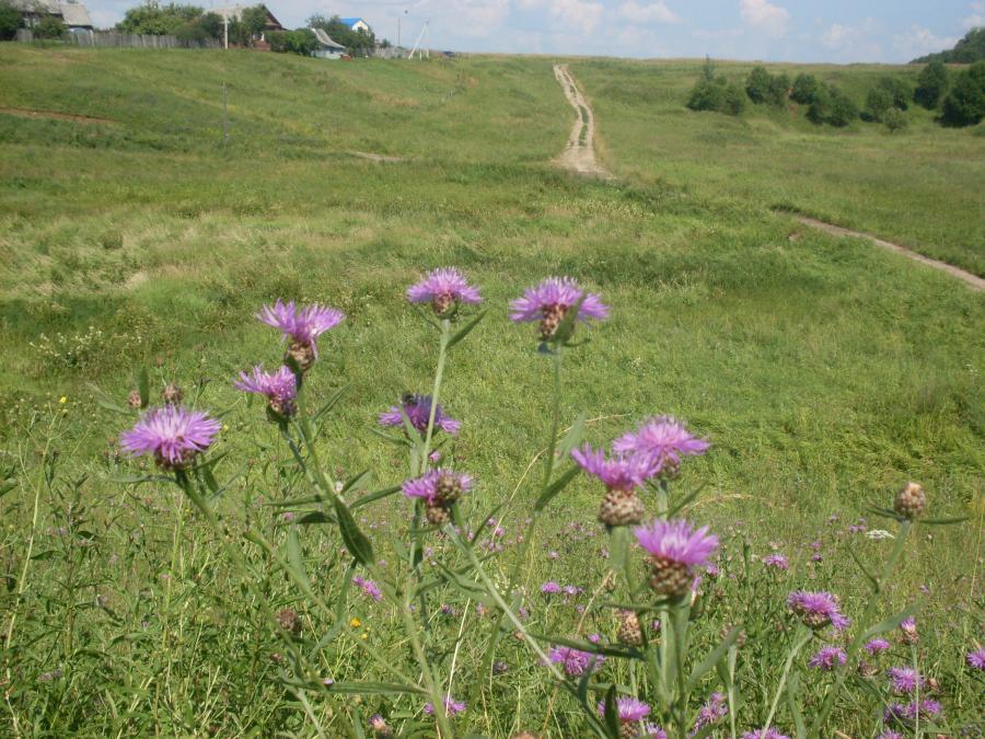 Россия - Александров. Фото №6