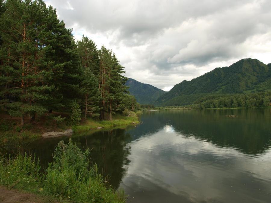 Чемал в мае фото