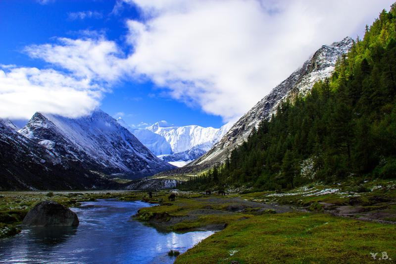 Алтай белуха фото