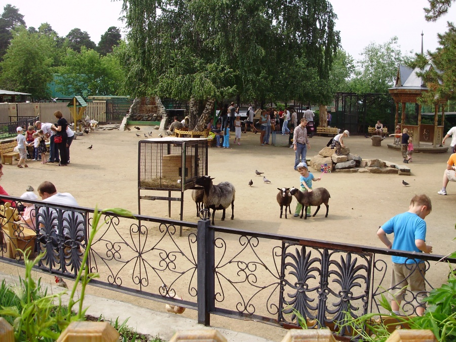 Зоопарк челябинск фото животных
