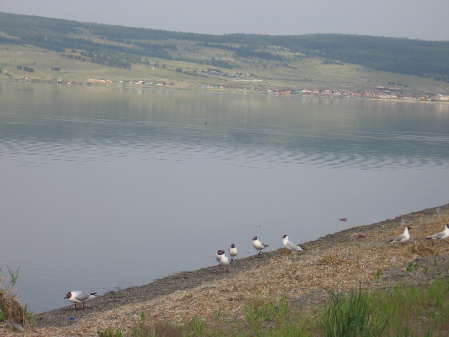 Россия - Черное озеро. Фото №13