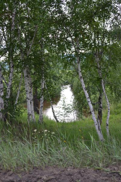 Погода карповка забайкальский край. Карповка Забайкальский край. Фото Карповка в Чите.