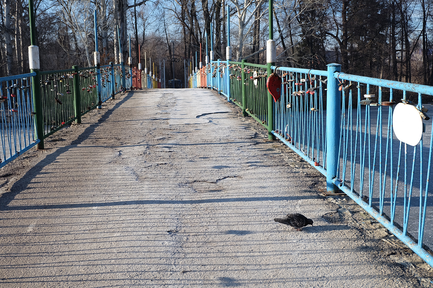 Парки в димитровграде